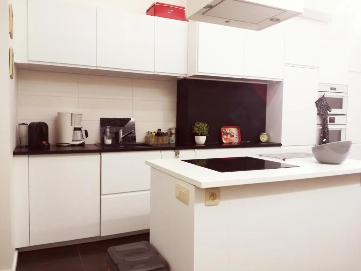 Brugmann Loft Apartment Bryssel